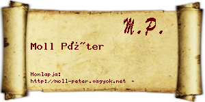Moll Péter névjegykártya